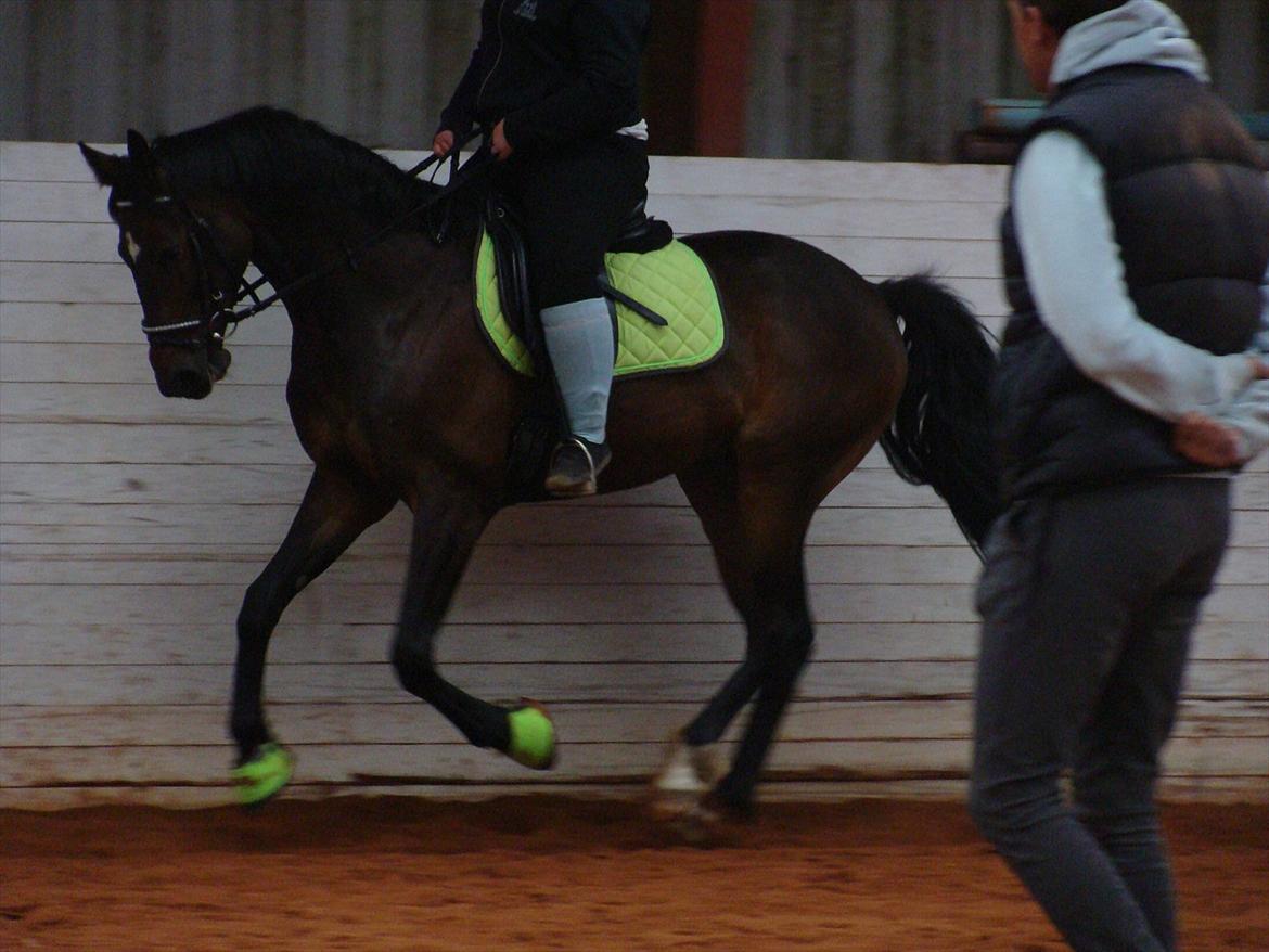 Anden særlig race Chili in action *Miss you boy* - 10 - undervisning ved Christian - Han er så dygtig den lille bubber :D <3 billede 10