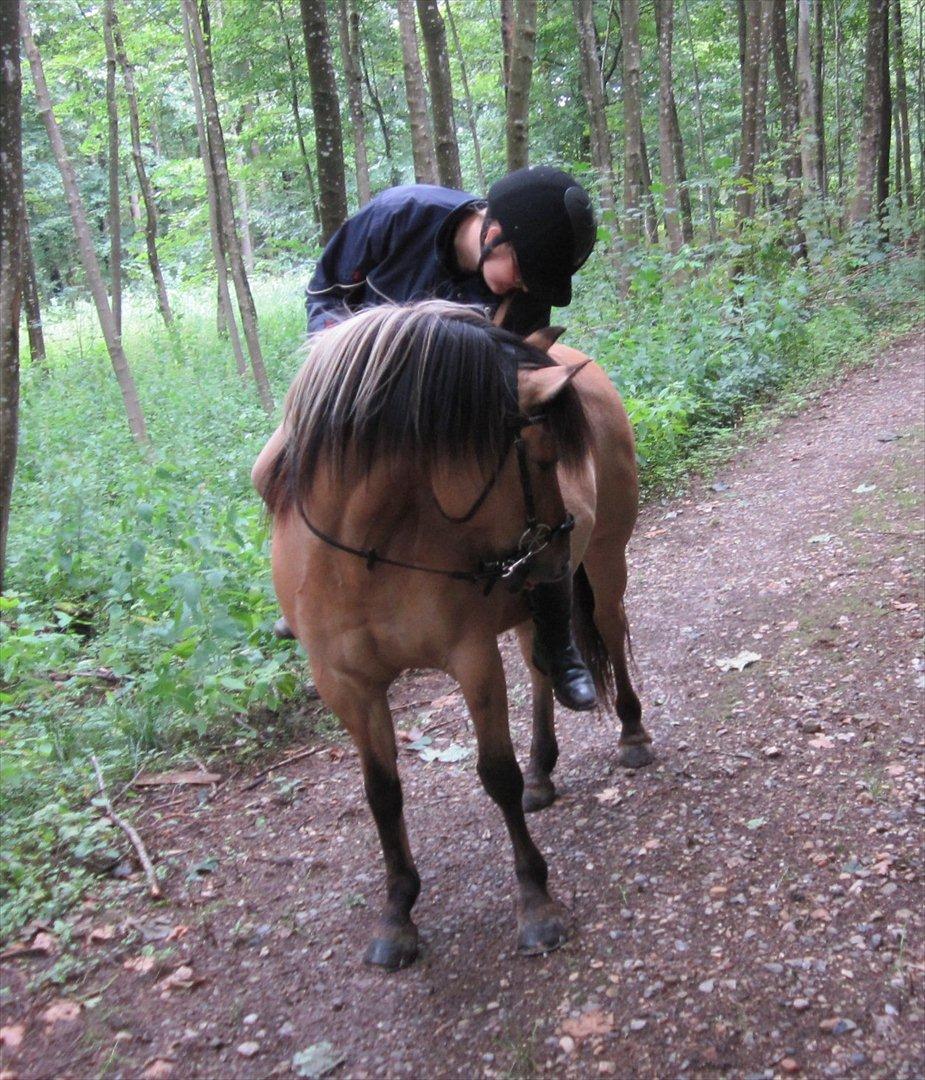 Anden særlig race Bianca - Look, i won't ever let you down. billede 17