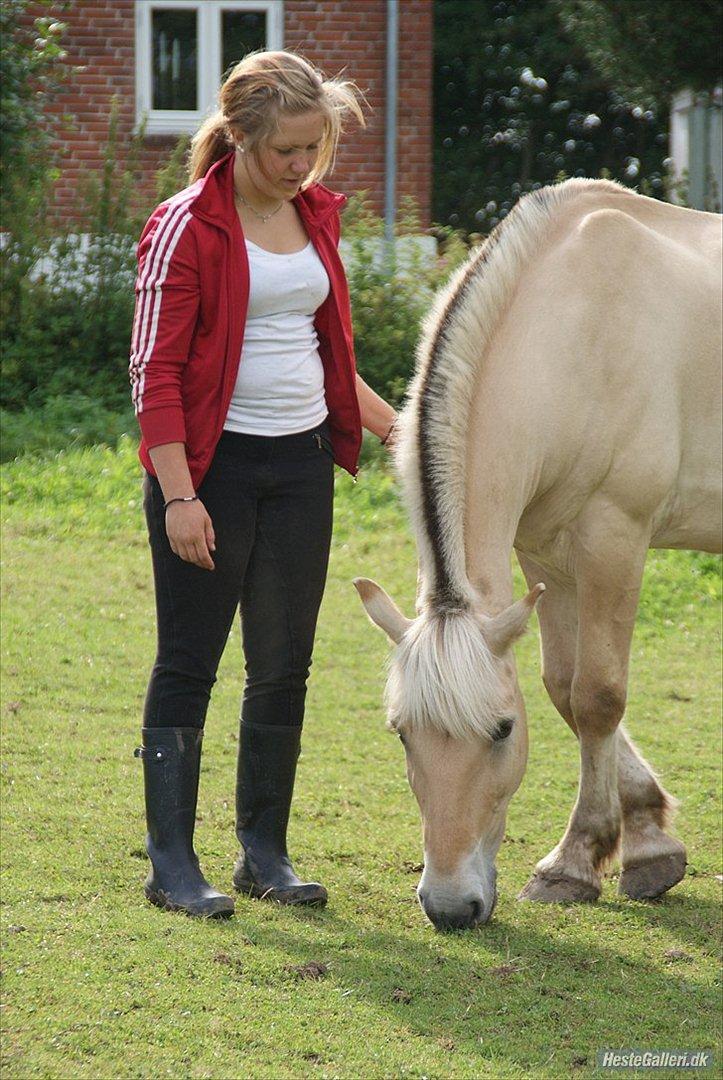 Fjordhest Pepsi pony - Velkommen til Pepsi profil :-) 

Nede og besøge ham, nede ved Ivan..<3 billede 1