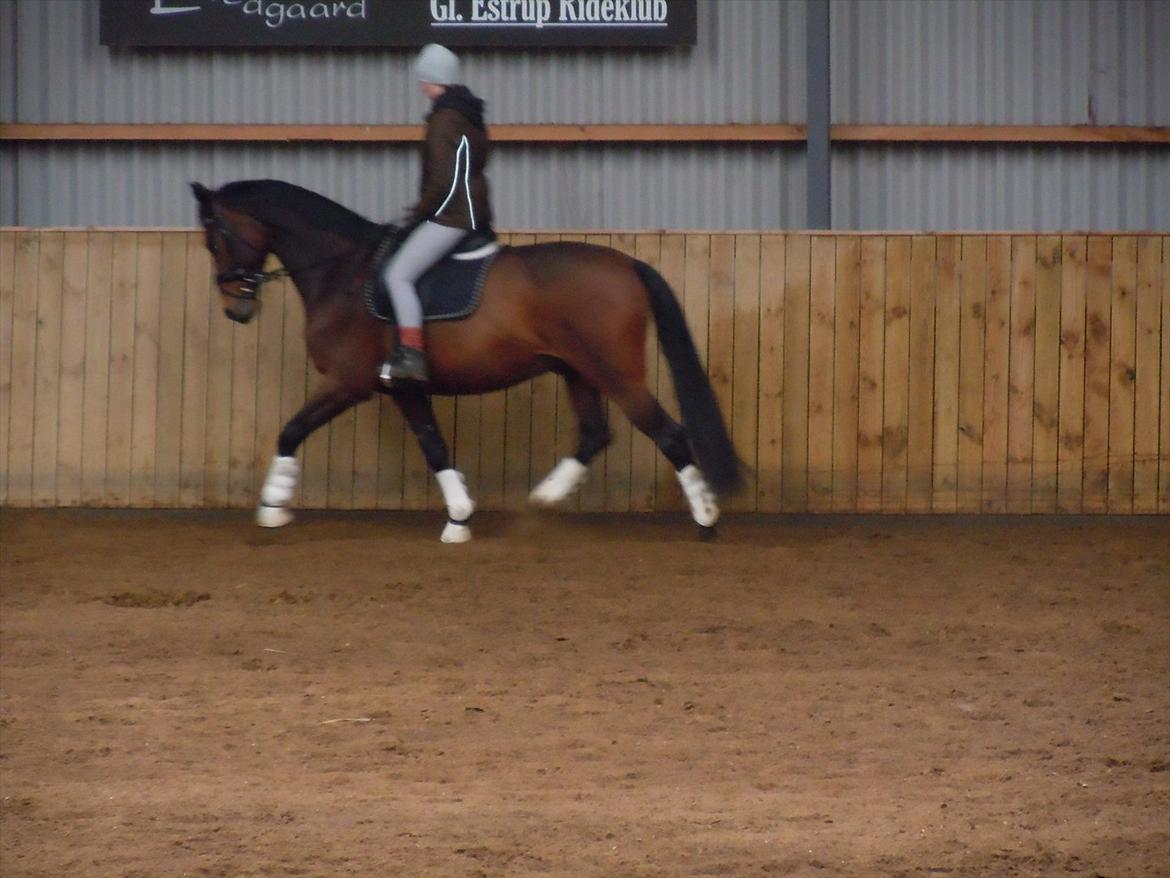 Anden særlig race Casino - marts 2011.. billede 16