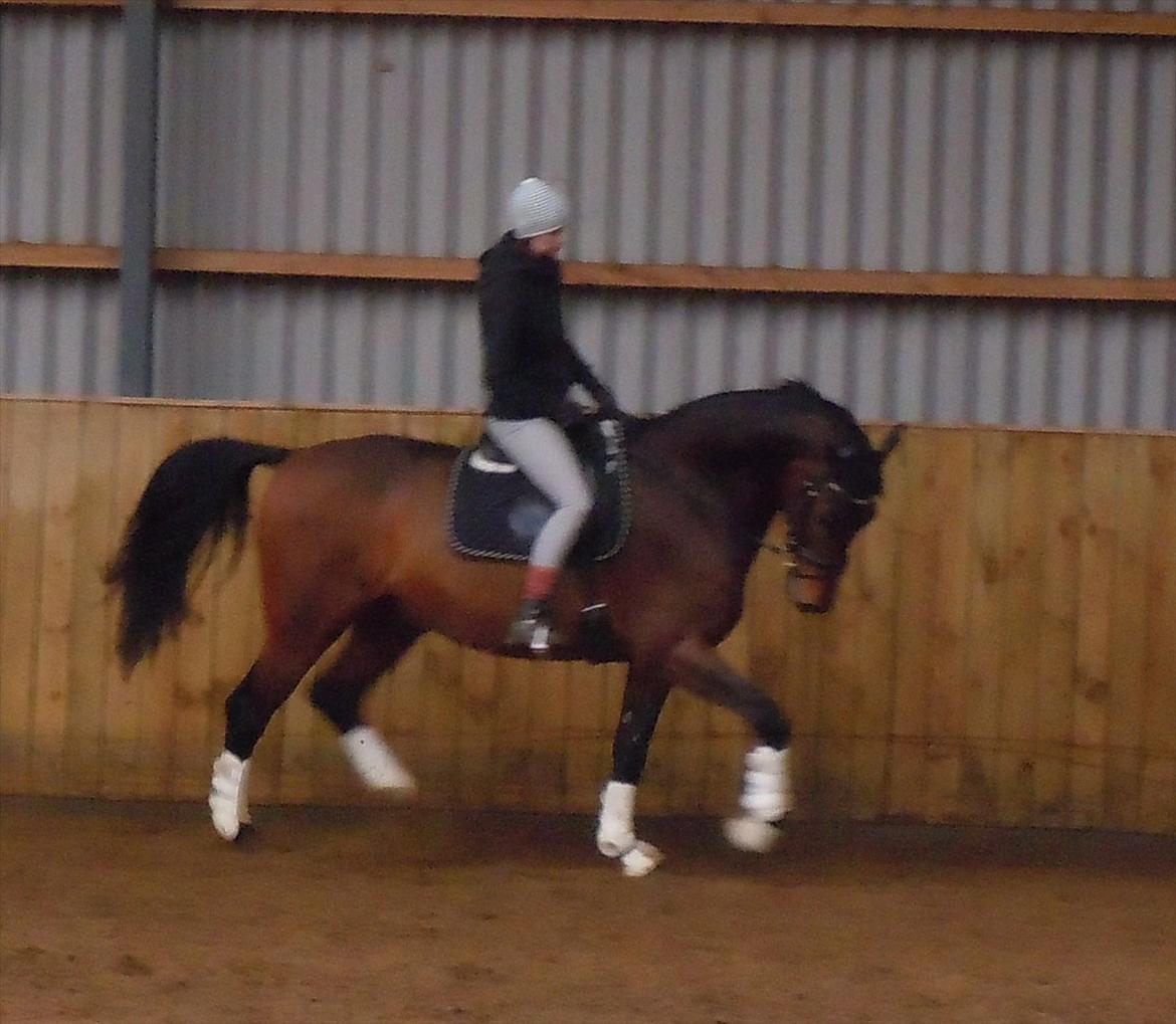 Anden særlig race Casino billede 17