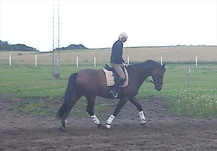 Anden særlig race Casino - juli 2011, med mor.. billede 18