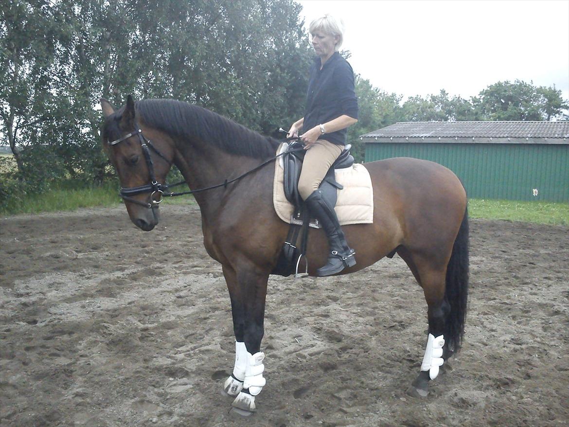 Anden særlig race Casino billede 19