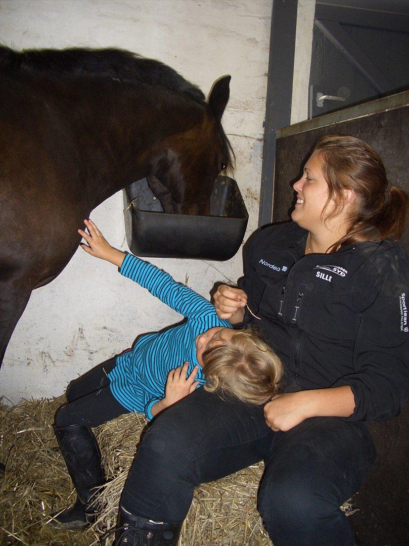 Anden særlig race Halkærhus Samara SAVNET! billede 11