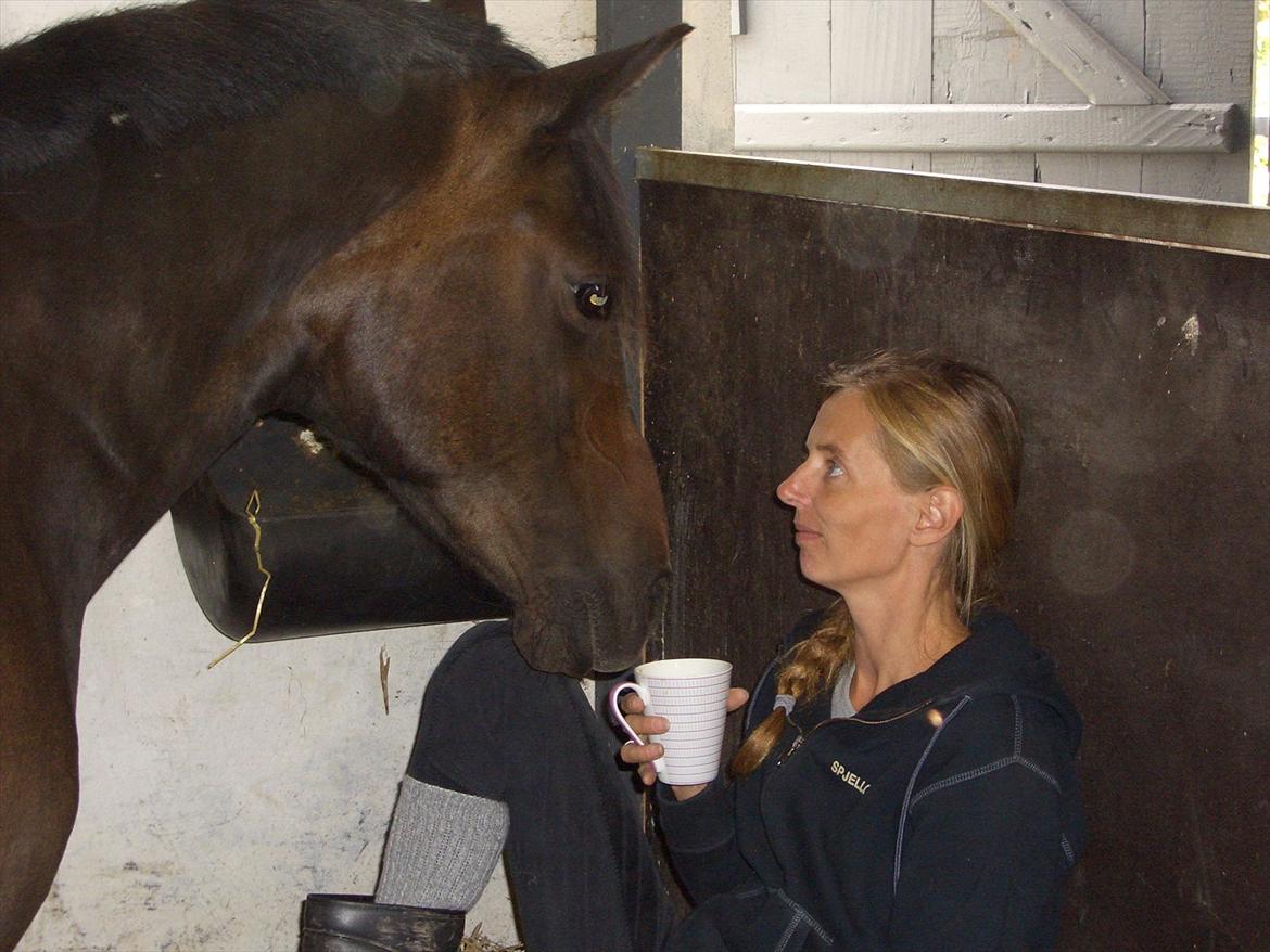 Anden særlig race Halkærhus Samara SAVNET! billede 15