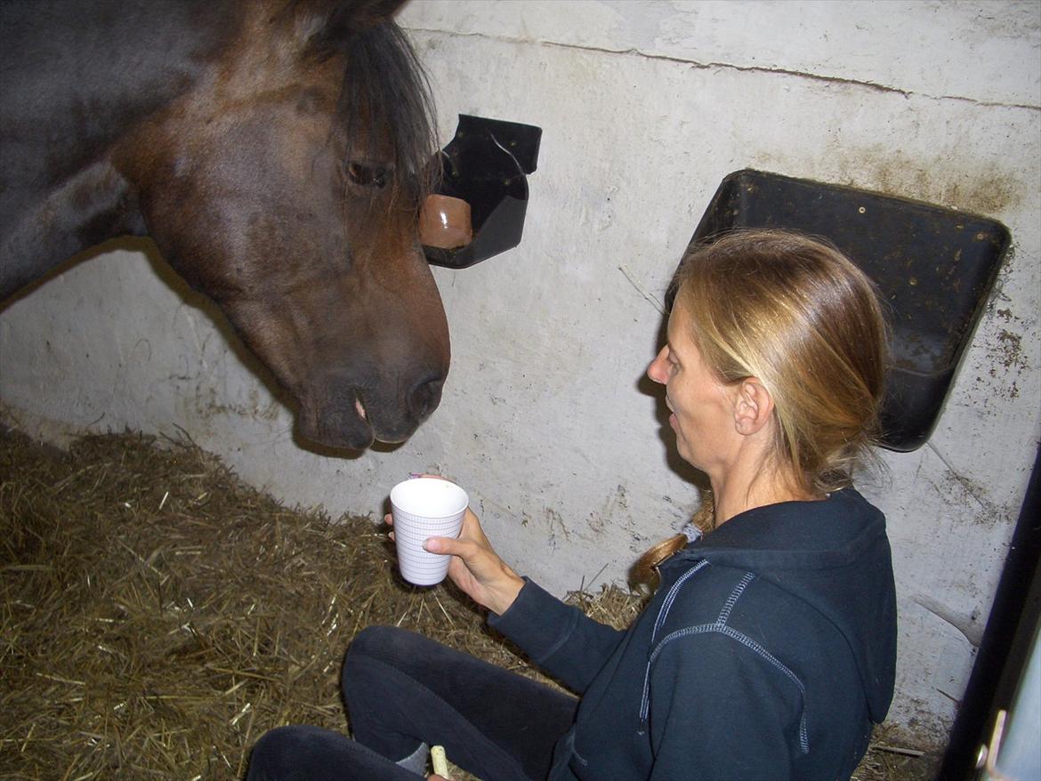 Anden særlig race Halkærhus Samara SAVNET! billede 16