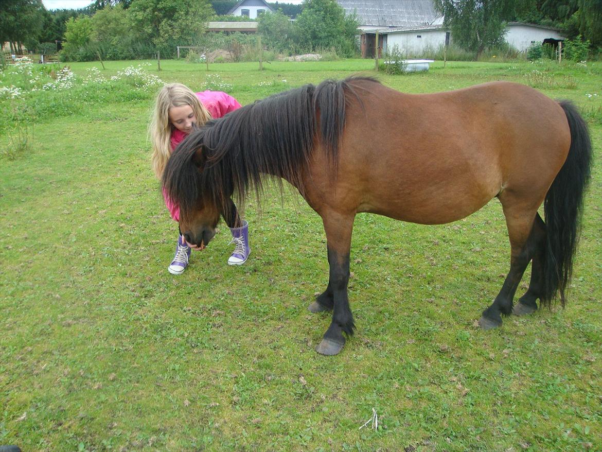 Anden særlig race Jolly - dejligt at slikke på julies hånd :) nyt billede 15
