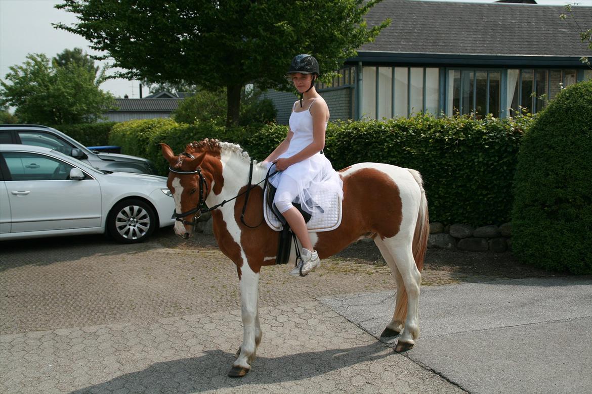 Pinto Lee - Cooper GOLÅ<3solgt - min konfirmation d. 22 maj. 2011. billede 9