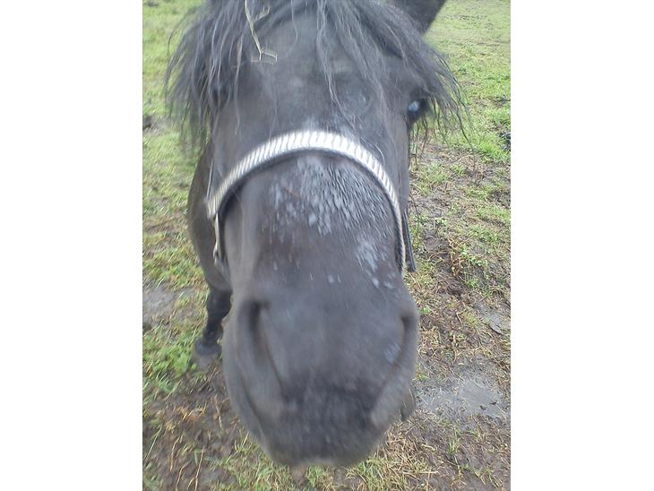 {{currentPhoto.altText}} billede {{currentPhoto.number}}