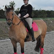 Anden særlig race Bianca