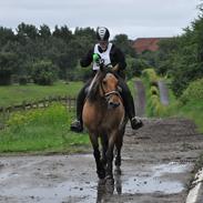 Anden særlig race Bianca