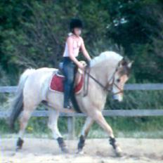 Anden særlig race Mister Hidalgo - R.i.P