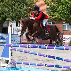 DSP Sønderlunds Asanti B-pony R.I.P