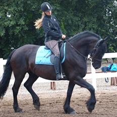 Frieser Maartje S
