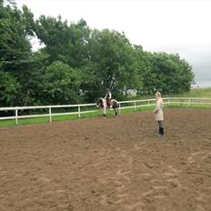 Anden særlig race Musse<33 solgt:'( *du vil altid være i mit hjerte*