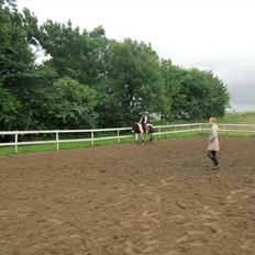 Anden særlig race Musse<33 solgt:'( *du vil altid være i mit hjerte*