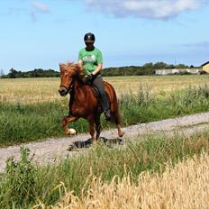 Islænder Torfi fra Ulstrup