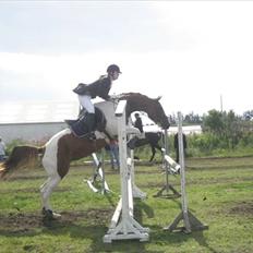 Pinto Kielsgaardens Cirkeline S.Æ.L.G.E.S