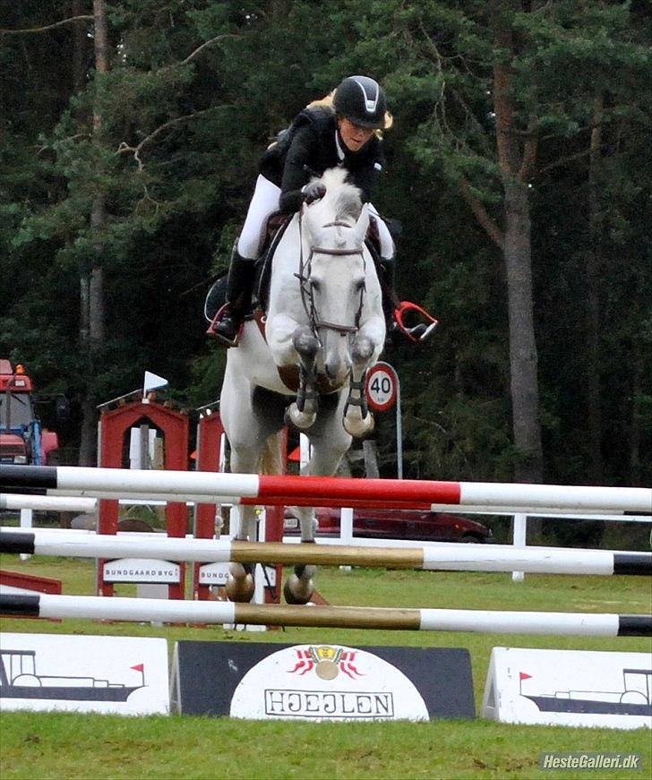 Dansk Varmblod LORETTA - Loretta & jeg, Jysk Rideuge 2011.  billede 10