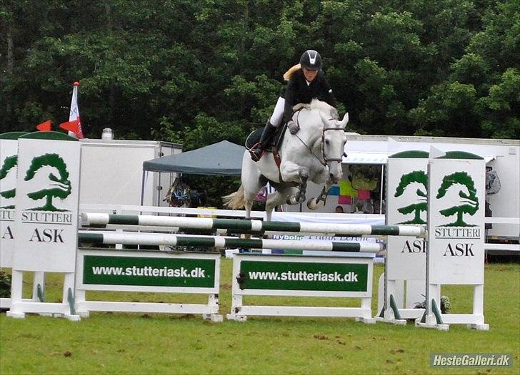 Dansk Varmblod LORETTA - Loretta og jeg, Jysk rideuge 2011. billede 11