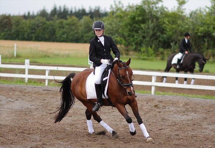 DSP Svanfolks Rebecca - 8 meter volte i mig og Rebecca's debut i LA2 hvor vi red til 64% BJR's ridelejr 2011;) billede 10