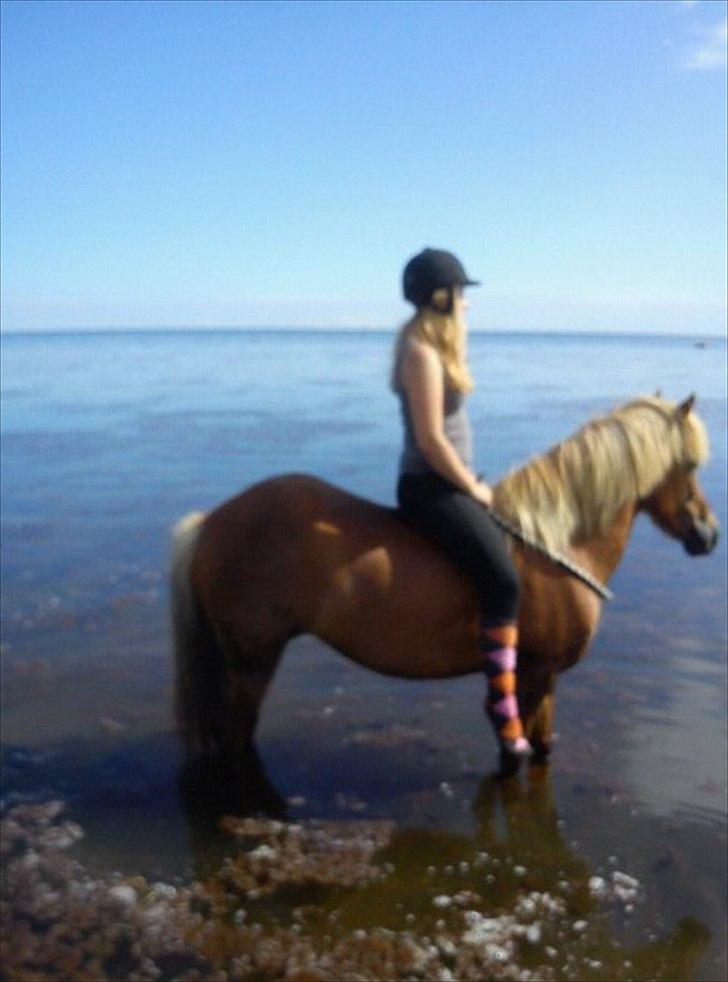 Islænder Røskva »Fortid, ikke fremtid. - » You could run, I only had a lead around you. But you stayed as I said to you <3
~ Amanda Billing. billede 9