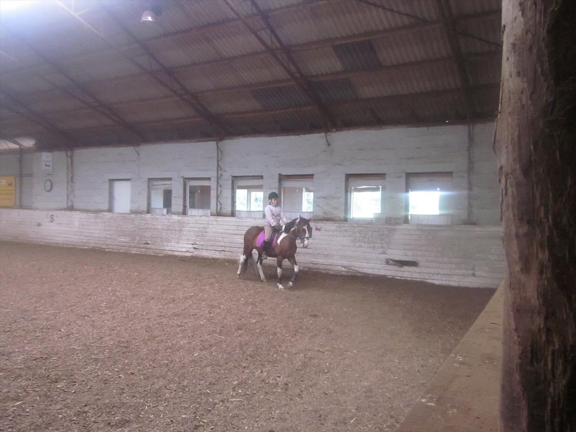 Anden særlig race Johana - UGHHHH nyt underlag + Gamacher billede 13