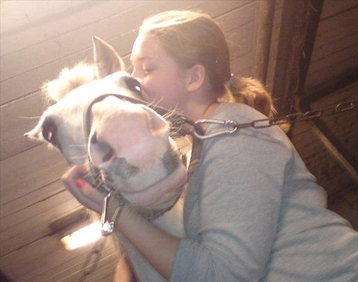 Hollandsk Sportspony Blue moon - Nu siger vi farveller!:D Og tak for kigget<3<3
- Et stort møzz, skal man da have når man har været dygtig!<3<3 Foto: Charlotte 2010 billede 19