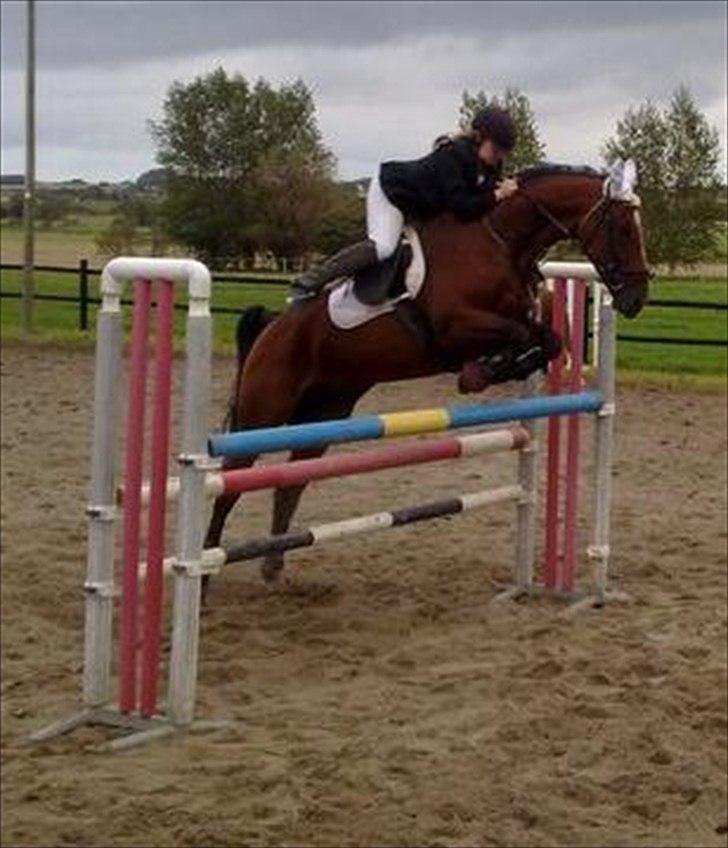 Anden særlig race Annika A.K.A Calimera  billede 4