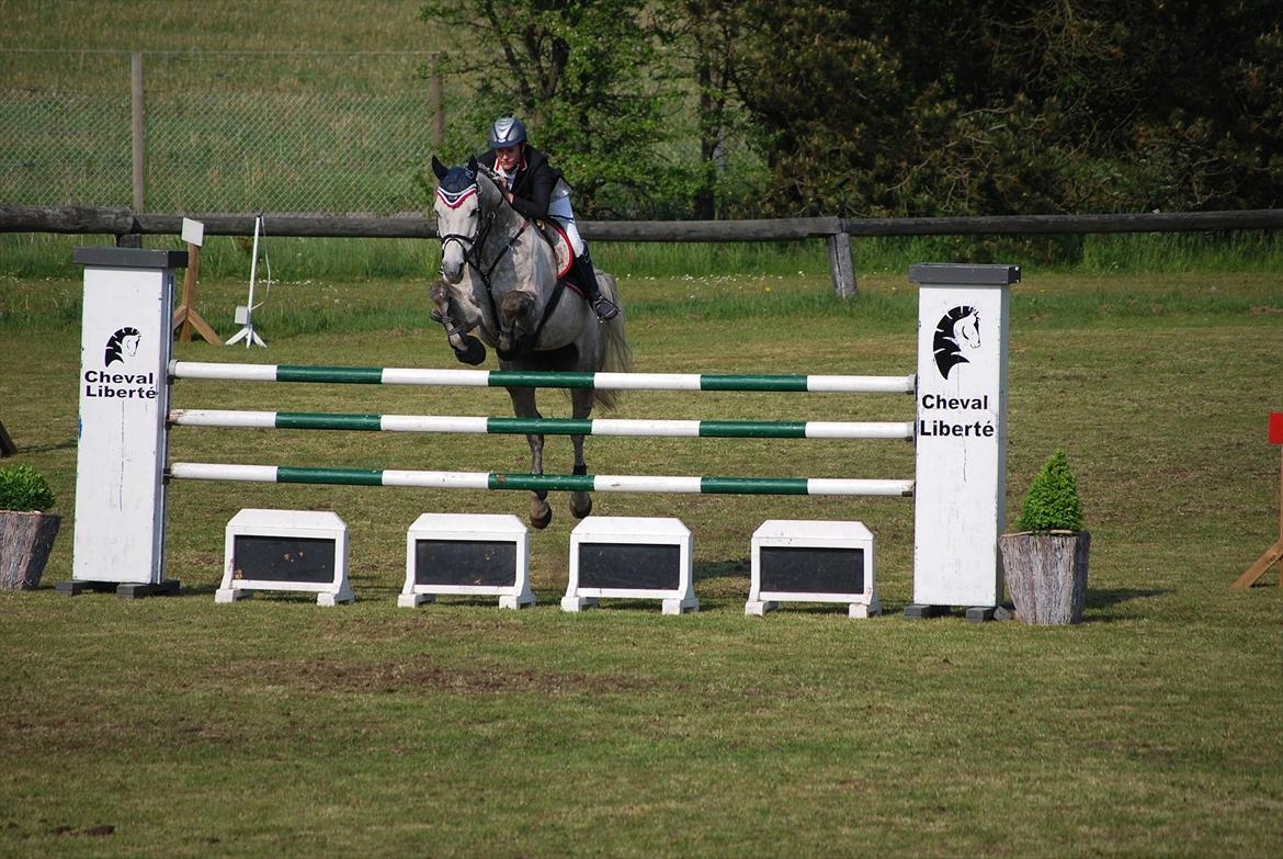 Holstener Unicorn choise - Holstebro maj 2011 - FOTO: ET billede 16