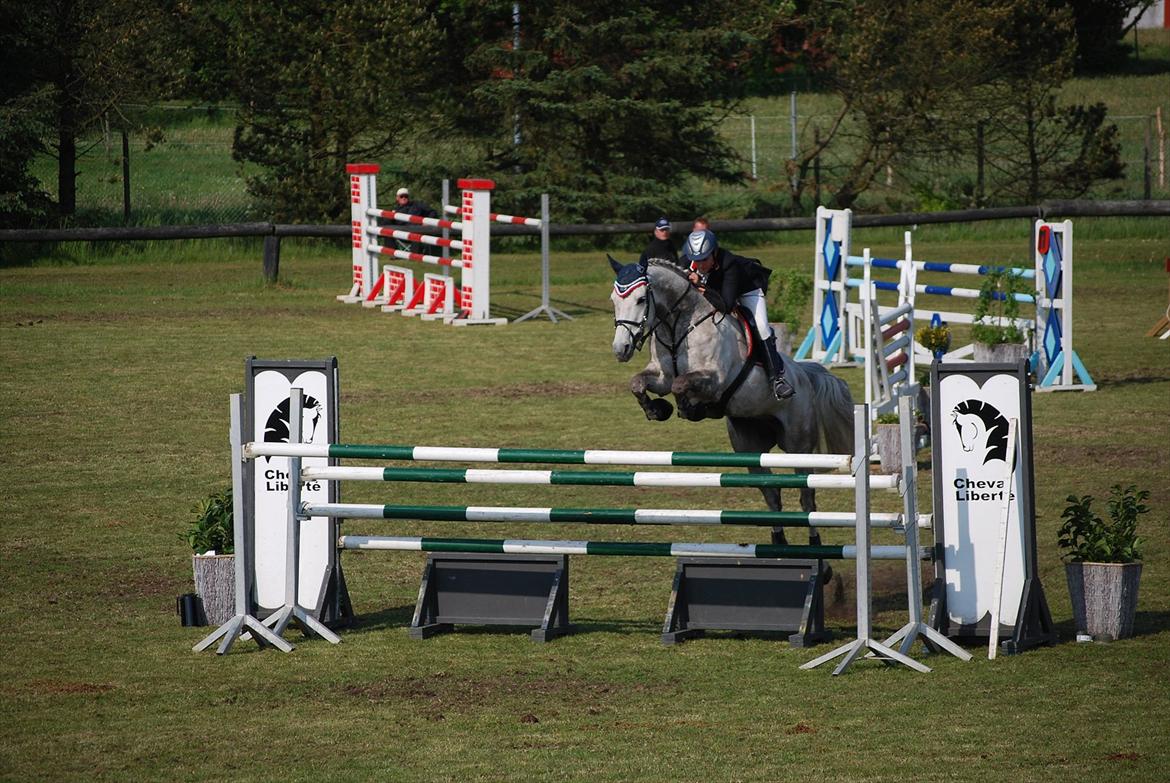 Holstener Unicorn choise - Holstebro maj 2011 - FOTO: ET billede 5