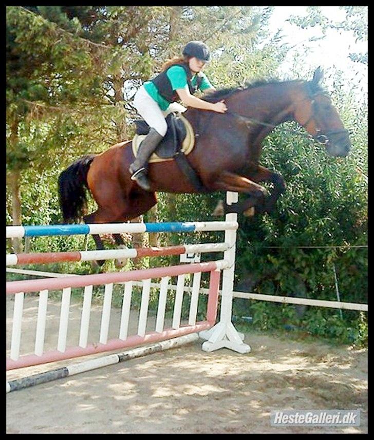 Anden særlig race Annika A.K.A Calimera  billede 8