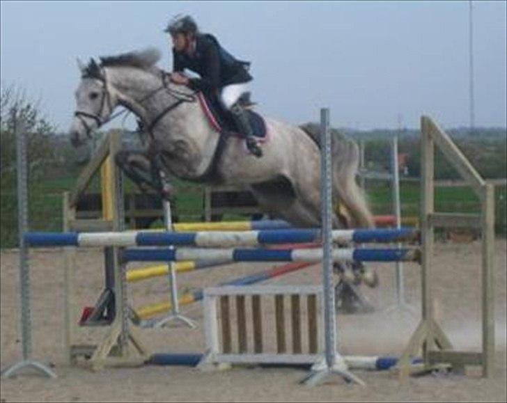 Holstener Unicorn choise - Rom september 2009 - FOTO: Sandra/Masja billede 11