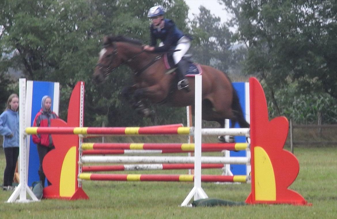 Dansk Varmblod Le' Anna - Løgstrup august 2009 - FOTO: ET billede 10