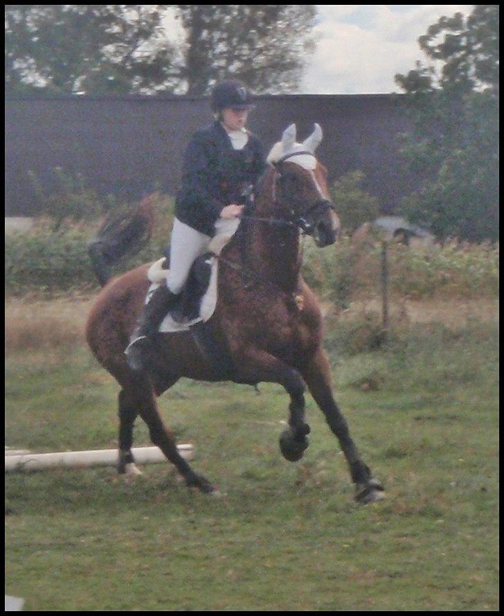 Anden særlig race Annika A.K.A Calimera  billede 15