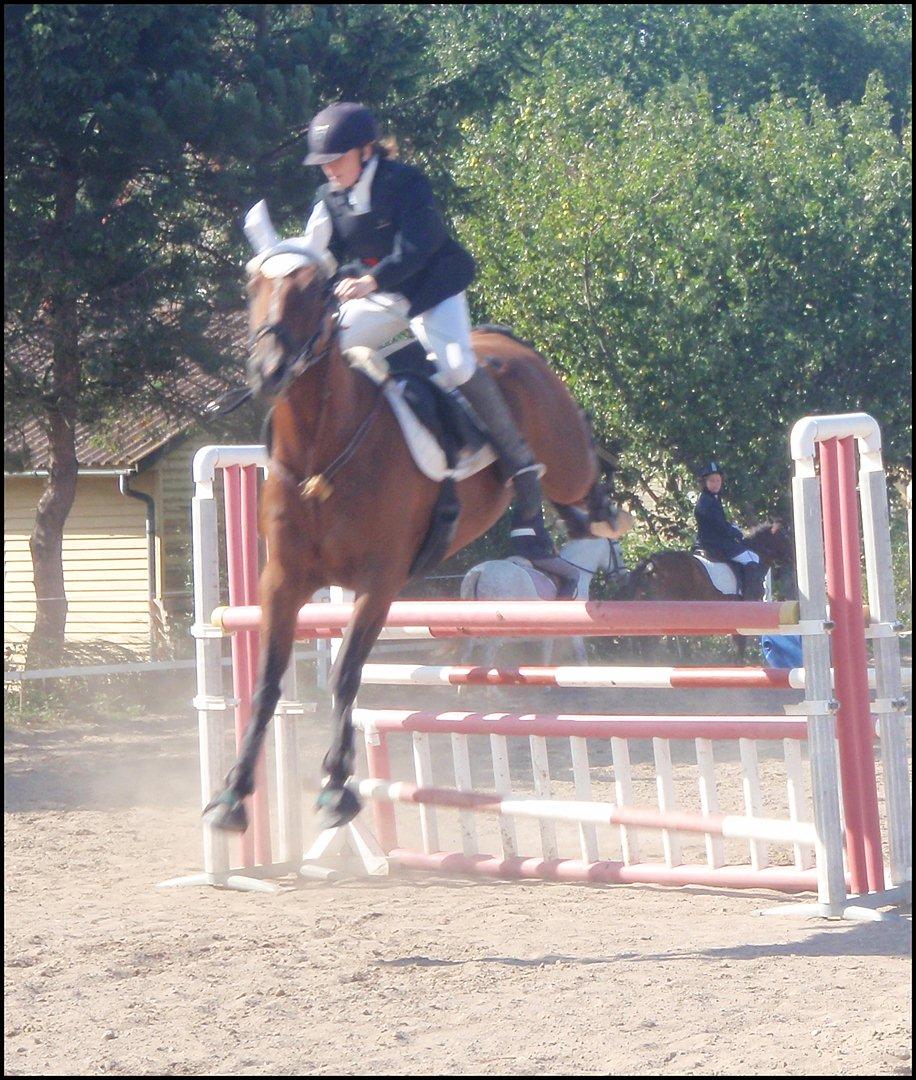 Anden særlig race Annika A.K.A Calimera  billede 16