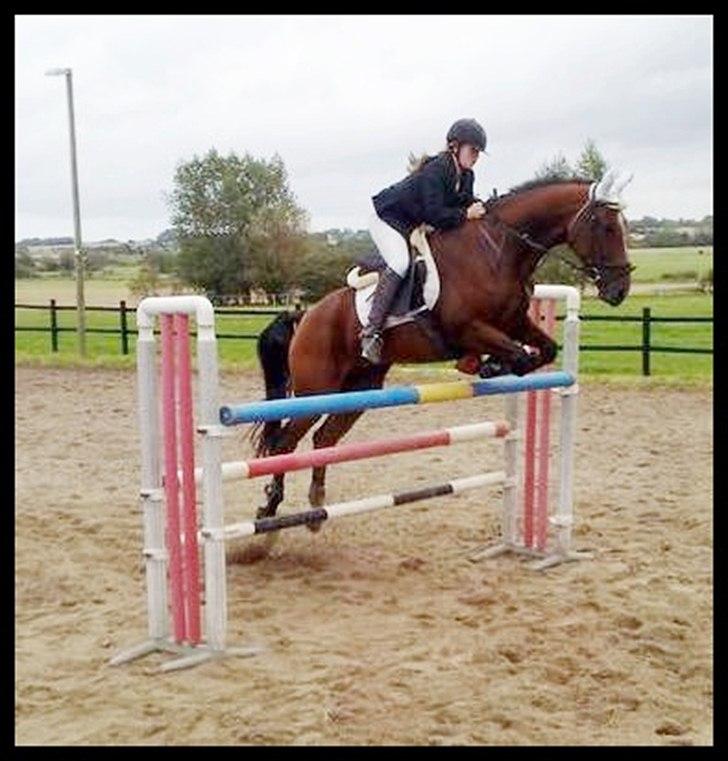 Anden særlig race Annika A.K.A Calimera  billede 17