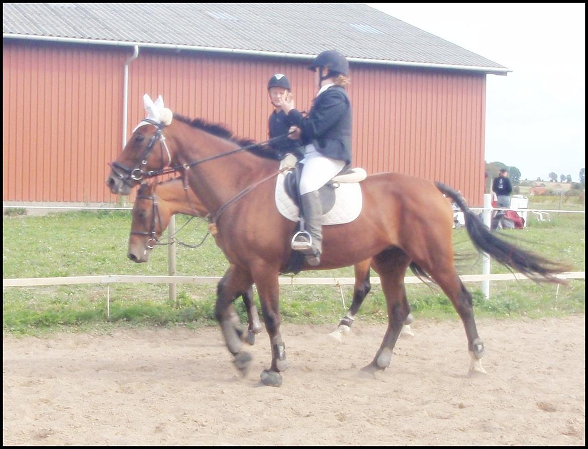 Anden særlig race Annika A.K.A Calimera  billede 18