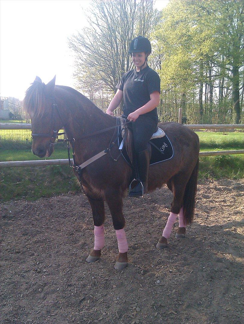 Hollandsk Sportspony KING<3 - King med lyserød han er sååå nuser!:*<3 billede 8