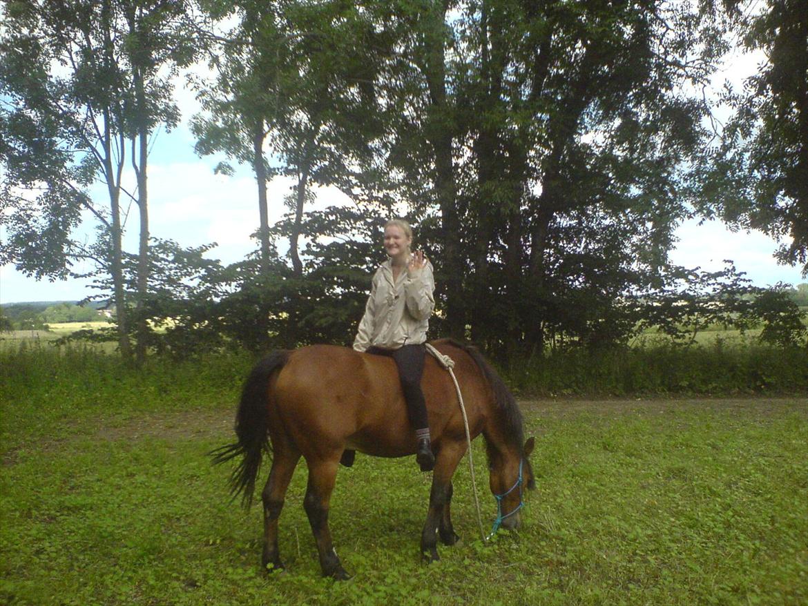 Anden særlig race Tobias billede 7