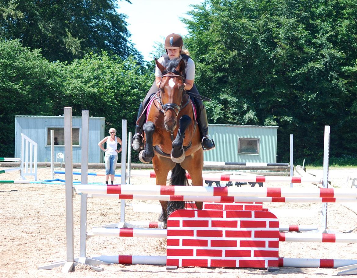 Oldenborg Cornelia - Spring juli 2011 billede 15