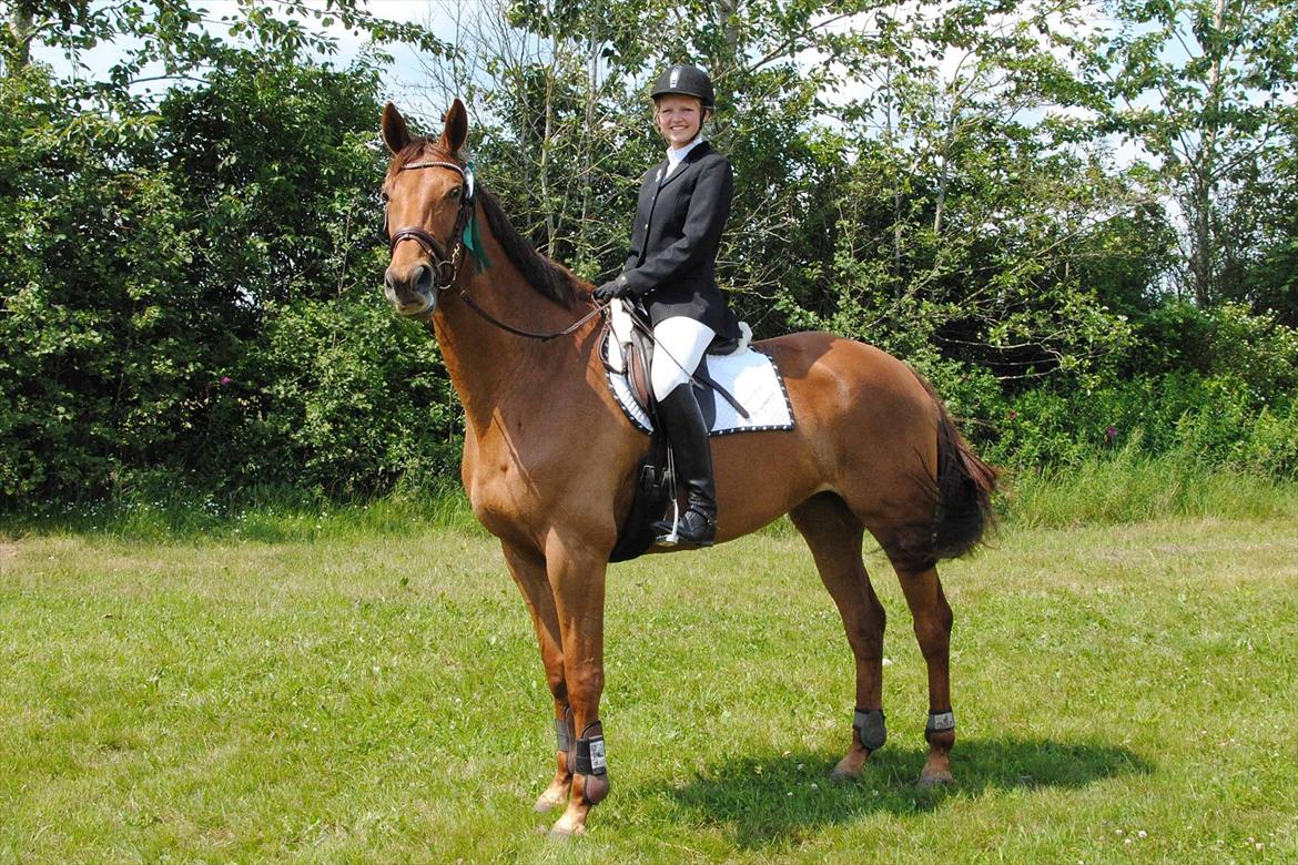 Trakehner Herbstrose billede 14