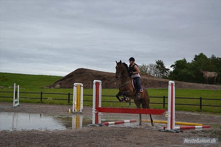 Anden særlig race Merlot R.I.P <3 - merlot og mig til spring <3 Af Celina :) billedet 18 billede 17