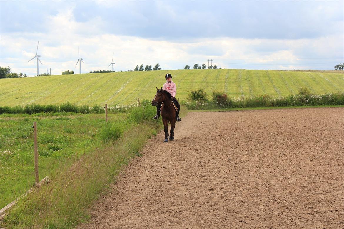 DSP Stidsbjergs Chanie - os to gennem alt<3 billede 4