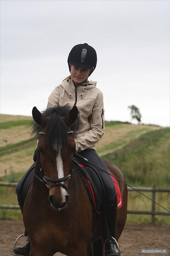 Anden særlig race Dream step *A- PONY!* - dyygtig ponyy.!!
 billede 12