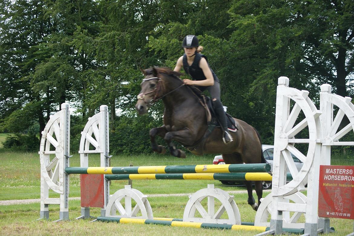 Hollandsk Sportspony Bassy - Kursus v. Andreas Künneman - Juni 2011 billede 9