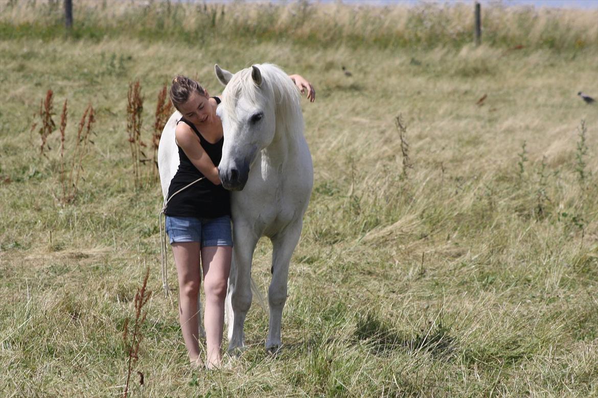 Connemara - Baloo <3 ! - Min elskede, elskede, elskede pony billede 5