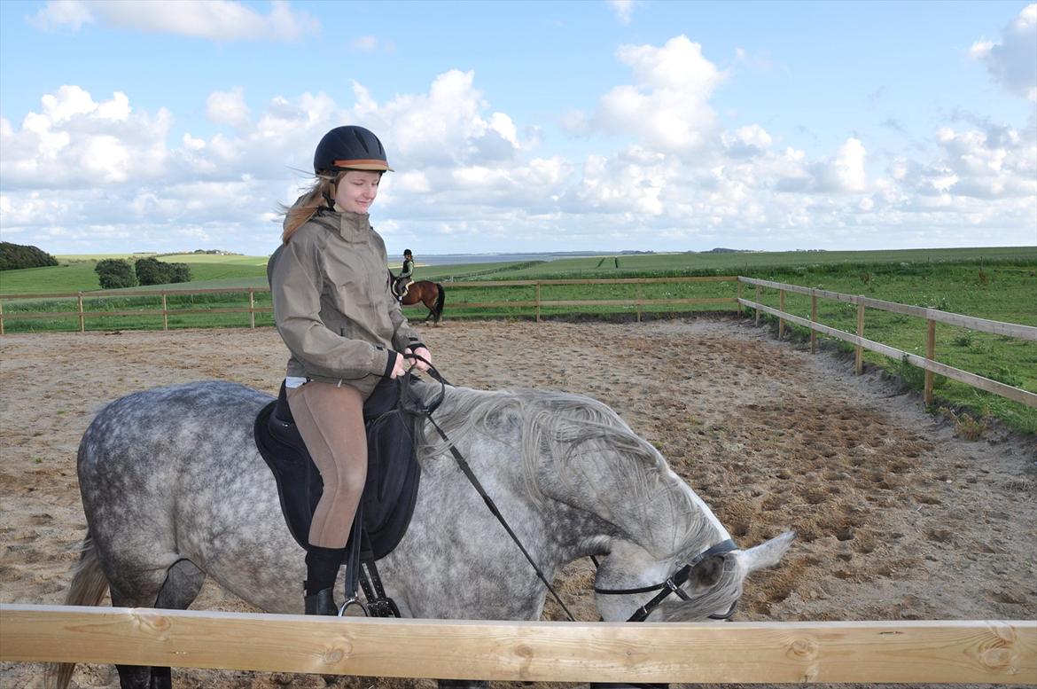 Anden særlig race Marengo - Min Veninde Rider Ham :-D billede 10