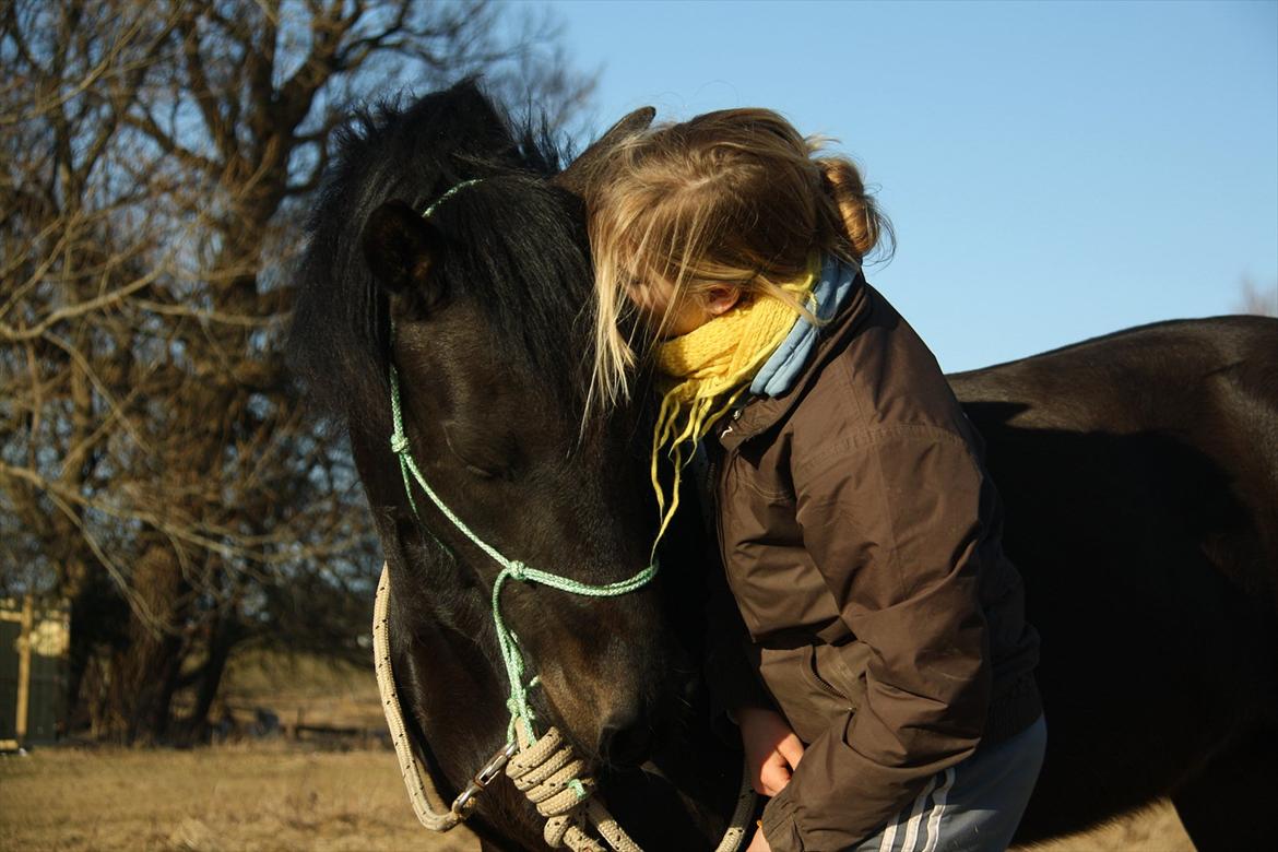 New Forest Banda - Du er virkelig fantastisk lille pony!:* billede 3