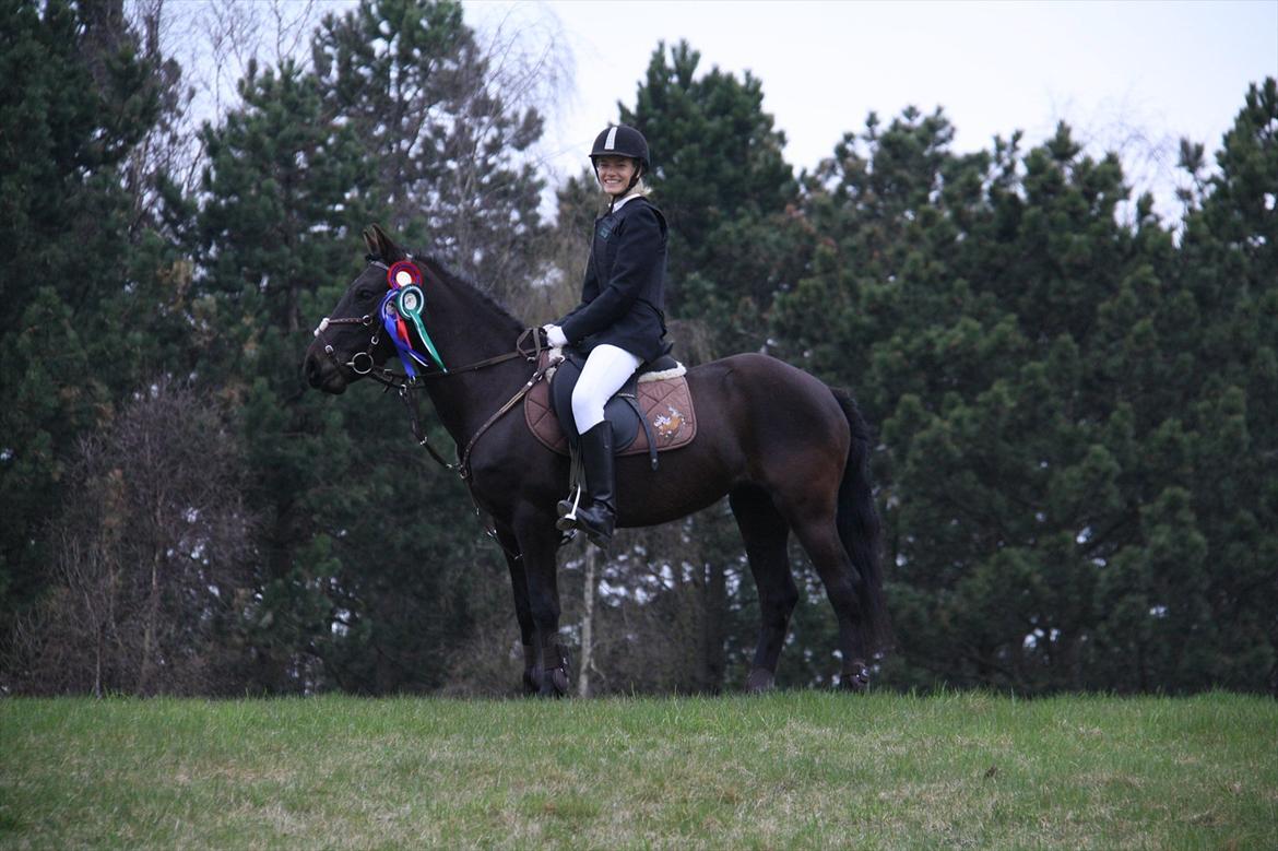 New Forest Banda - Min lille vinder pony :)  billede 8